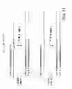Fig. 15 - METHODS FOR GENETIC ANALYSIS OF DNA TO DETECT SEQUENCE VARIANCES