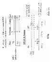 Fig. 22 - METHODS FOR GENETIC ANALYSIS OF DNA TO DETECT SEQUENCE VARIANCES
