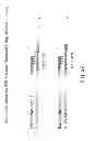 Fig. 28 - METHODS FOR GENETIC ANALYSIS OF DNA TO DETECT SEQUENCE VARIANCES