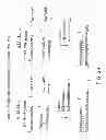 Fig. 30 - METHODS FOR GENETIC ANALYSIS OF DNA TO DETECT SEQUENCE VARIANCES