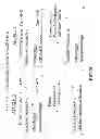 Fig. 31 - METHODS FOR GENETIC ANALYSIS OF DNA TO DETECT SEQUENCE VARIANCES