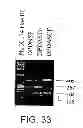 Fig. 34 - METHODS FOR GENETIC ANALYSIS OF DNA TO DETECT SEQUENCE VARIANCES