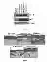Fig. 03 - Culture Based Screening Assay and Methods of Use Thereof to Identify Agents Which Modulate Tumor Development, Invasion and Differentiation