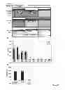 Fig. 08 - Culture Based Screening Assay and Methods of Use Thereof to Identify Agents Which Modulate Tumor Development, Invasion and Differentiation