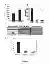 Fig. 12 - Culture Based Screening Assay and Methods of Use Thereof to Identify Agents Which Modulate Tumor Development, Invasion and Differentiation