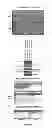 Fig. 14 - Culture Based Screening Assay and Methods of Use Thereof to Identify Agents Which Modulate Tumor Development, Invasion and Differentiation