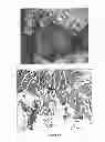 Fig. 17 - Culture Based Screening Assay and Methods of Use Thereof to Identify Agents Which Modulate Tumor Development, Invasion and Differentiation