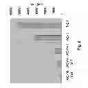 Fig. 07 - METHODS AND KITS USEFUL FOR DETECTING AN ALTERATION IN A LOCUS COPY NUMBER