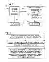 Fig. 02 - Nanowire-based system for analysis of nucleic acids