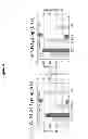 Fig. 04 - High-Resolution Clonal Typing of Escherichia coli