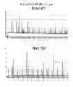 Fig. 10 - High-Resolution Clonal Typing of Escherichia coli