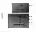 Fig. 20 - Optical biosensors