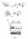 Fig. 11 - SEED TRAIT PREDICTION BY ACTIVITY-BASED PROTEIN PROFILING