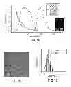 Fig. 02 - Nanoparticles for targeting acid tumor microenvironments
