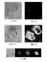 Fig. 03 - Nanoparticles for targeting acid tumor microenvironments
