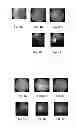 Fig. 04 - CHROMATOGRAPHY FILTER PAPER-BASED ELISA