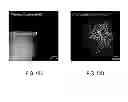 Fig. 11 - Fluorogenic semiconductor nanocrystals