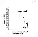 Fig. 02 - USE OF SFRP-3 IN THE ASSESSMENT OF HEART FAILURE