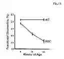 Fig. 03 - USE OF SFRP-3 IN THE ASSESSMENT OF HEART FAILURE