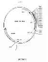 Fig. 02 - Control of gene expression