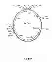 Fig. 09 - Control of gene expression