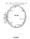 Fig. 10 - Control of gene expression