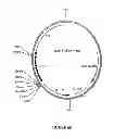 Fig. 69 - Control of gene expression