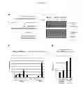 Fig. 06 - Production of viral vectors