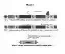 Fig. 03 - Temperature-dependent insertion of genetic material into genomic DNA