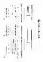 Fig. 03 - Low sequence bias single-stranded DNA ligation