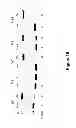 Fig. 18 - Low sequence bias single-stranded DNA ligation