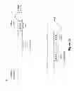 Fig. 26 - Low sequence bias single-stranded DNA ligation