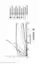 Fig. 19 - Compositions and methods for making and modifying oils
