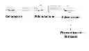 Fig. 01 - Extracellular aldonolactonase