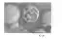 Fig. 01 - Porous polymeric resins