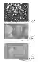 Fig. 03 - Porous polymeric resins
