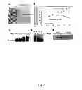 Fig. 03 - MRNA Interferase from Myxococcus Xanthus