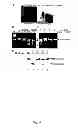 Fig. 05 - MRNA Interferase from Myxococcus Xanthus