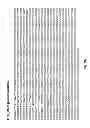 Fig. 04 - Production of itaconic acid