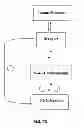 Fig. 13 - Methods for detection of biological substances