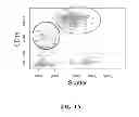 Fig. 02 - IMAGE ANALYSIS AND MEASUREMENT OF BIOLOGICAL SAMPLES