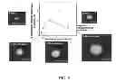 Fig. 07 - IMAGE ANALYSIS AND MEASUREMENT OF BIOLOGICAL SAMPLES