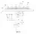 Fig. 12 - IMAGE ANALYSIS AND MEASUREMENT OF BIOLOGICAL SAMPLES