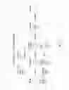 Fig. 02 - PDX1 EXPRESSING ENDODERM