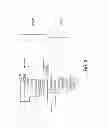 Fig. 04 - PDX1 EXPRESSING ENDODERM