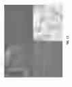 Fig. 19 - PDX1 EXPRESSING ENDODERM