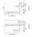 Fig. 52 - PDX1 EXPRESSING ENDODERM