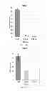Fig. 55 - PDX1 EXPRESSING ENDODERM