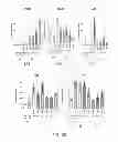 Fig. 59 - PDX1 EXPRESSING ENDODERM