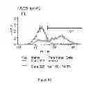 Fig. 136 - Microcarriers for stem cell culture